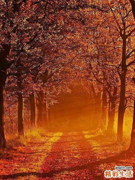 【中医如何去除黄褐斑】中医可以去除黄褐斑