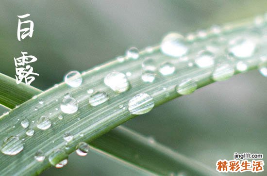 2023白露过后怎么还这么热 2023白露还热吗要热多久