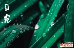 2023白露后天气还热吗 2023白露过后是否还有高温天气