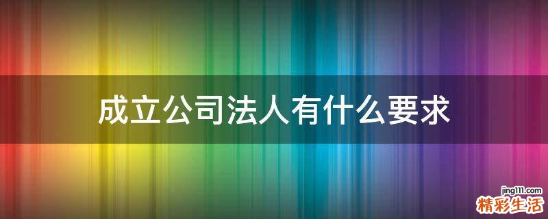成立公司法人有什么要求