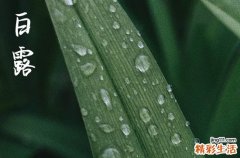 2023年什么时候白露 2023年白露是属于七月还是八月