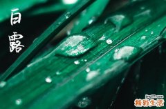 2023年白露时间几点几分几秒 2023年白露是哪一天