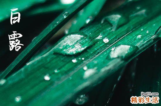 2023年白露时间几点几分几秒 2023年白露是哪一天