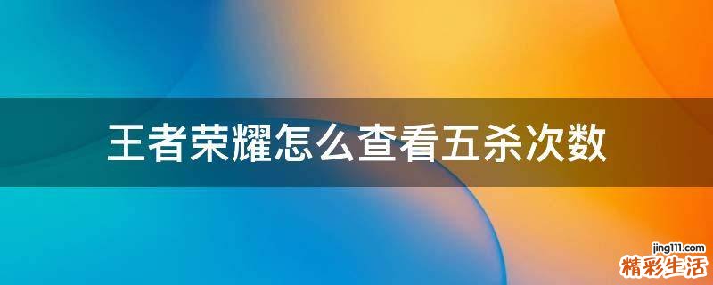 王者荣耀怎么查看五杀次数