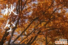 2023年秋分日具体是哪一天