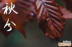 今年秋分是几月几日几点2023