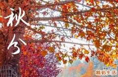 2023年秋分是几月几日几点几分,2023年秋分几月几日