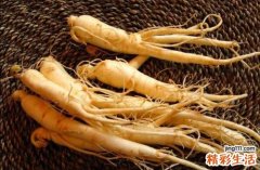 补气吃什么最好