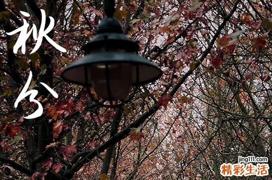 2023年秋分的时间是农历几月几日