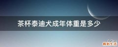 茶杯泰迪犬成年体重是多少