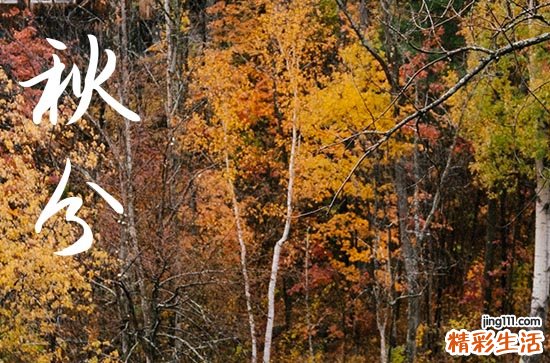 今年几点秋分是几点2023