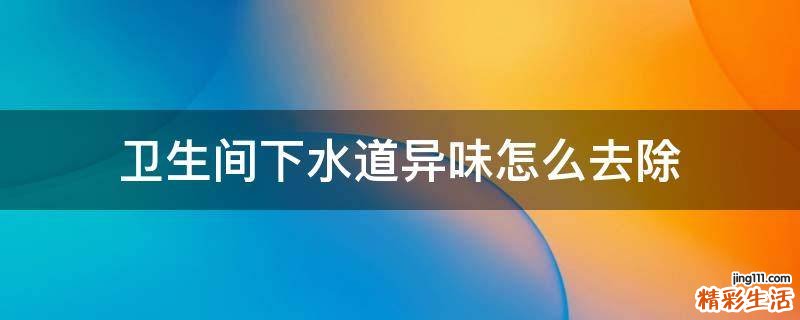 卫生间下水道异味怎么去除
