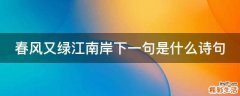 春风又绿江南岸下一句是什么诗句