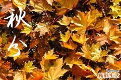 2023什么时候秋分几点秋分