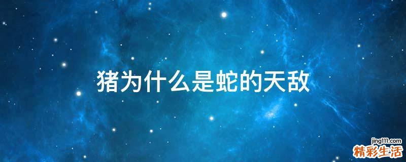 猪为什么是蛇的天敌