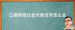 口袋妖怪白金光御龙市怎么去