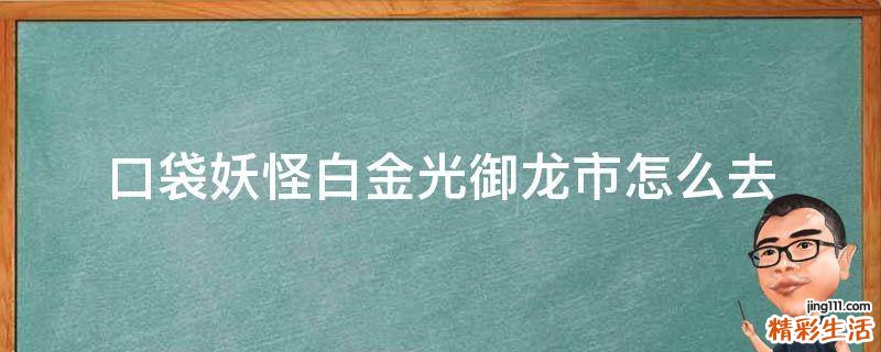 口袋妖怪白金光御龙市怎么去