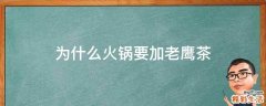 为什么火锅要加老鹰茶