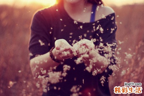 4 维氏假瘤蕨