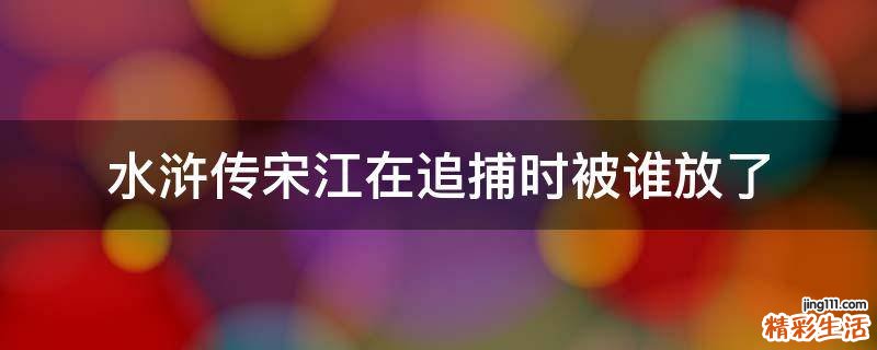 水浒传宋江在追捕时被谁放了