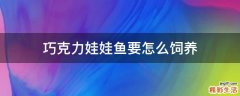 巧克力娃娃鱼要怎么饲养