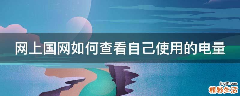网上国网如何查看自己使用的电量