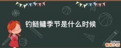 钓鲢鳙季节是什么时候