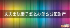 丈夫出轨妻子怎么办怎么分配财产