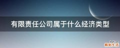 有限责任公司属于什么经济类型
