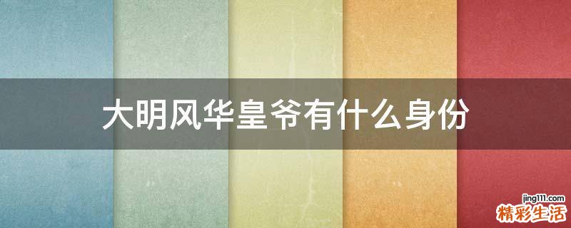 大明风华皇爷有什么身份