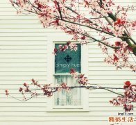 警惕战痘误区 祛痘有妙招
