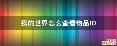 我的世界怎么查看物品ID