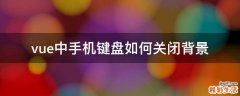 vue中手机键盘如何关闭背景