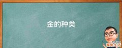 金的种类