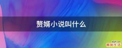 赘婿小说叫什么