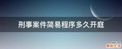 刑事案件简易程序多久开庭