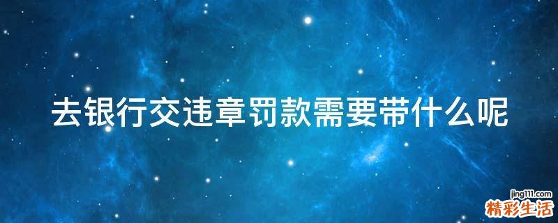 去银行交违章罚款需要带什么呢
