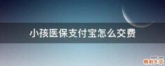小孩医保支付宝怎么交费