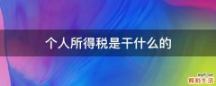 个人所得税是干什么的