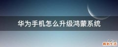 华为手机怎么升级鸿蒙系统