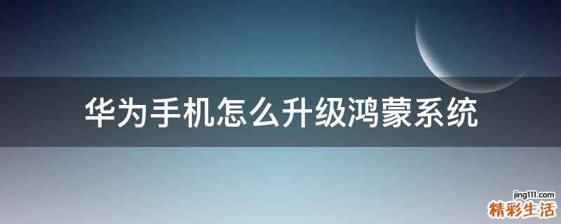 华为手机怎么升级鸿蒙系统