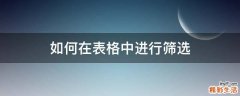 如何在表格中进行筛选