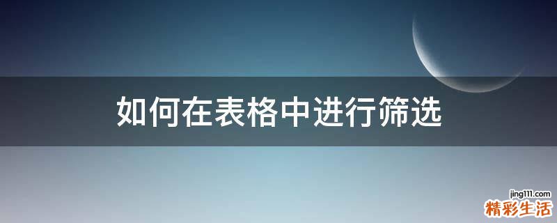 如何在表格中进行筛选