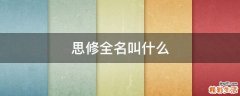 思修全名叫什么