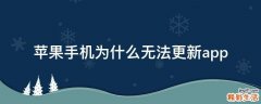 苹果手机为什么无法更新app
