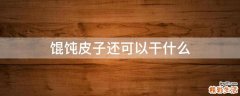 馄饨皮子还可以干什么