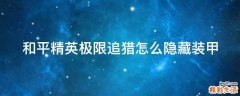 和平精英极限追猎怎么隐藏装甲