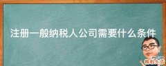 注册一般纳税人公司需要什么条件