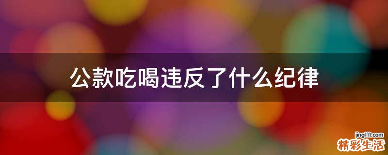 公款吃喝违反了什么纪律