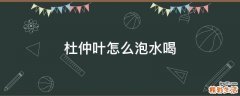 杜仲叶怎么泡水喝